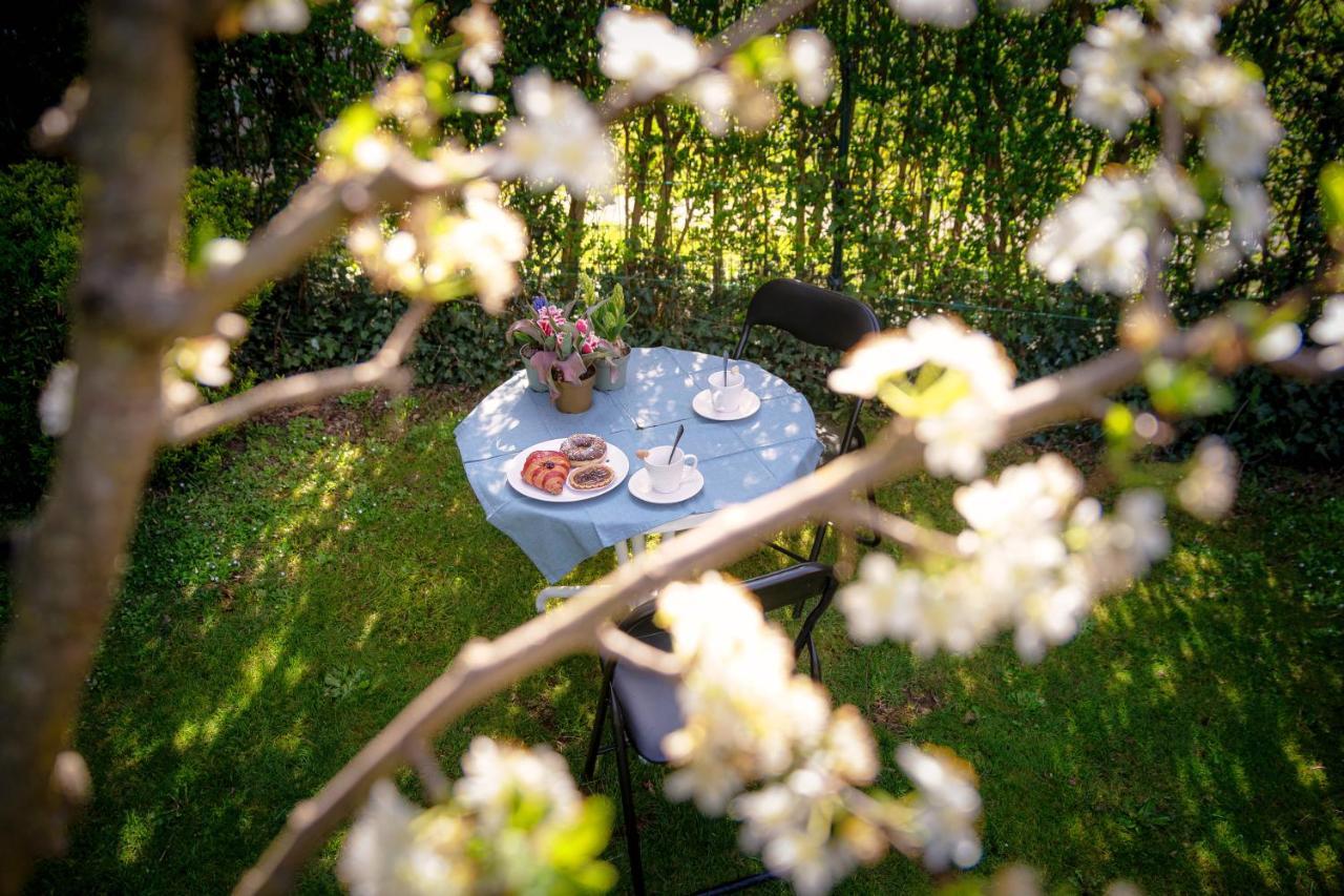 My Sweet Garden - By Myhomeincomo Cassina Rizzardi エクステリア 写真